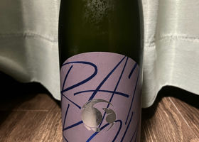 alt 1