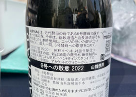 alt 2