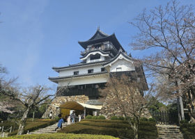 alt 2