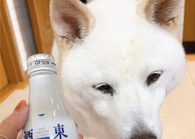 東京の酒蔵 チェックイン 1