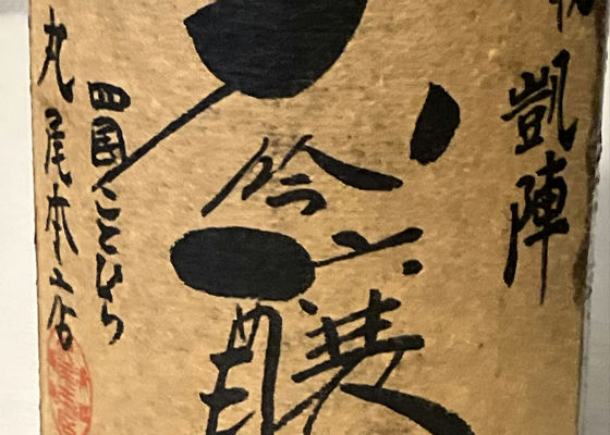 alt 1