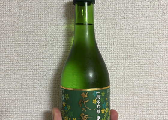 alt 1