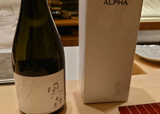 alt 1