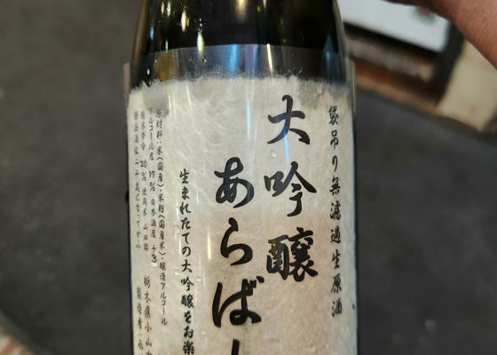 alt 1