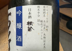 alt 3