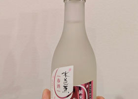 alt 1
