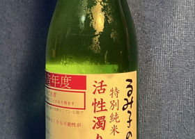 alt 1