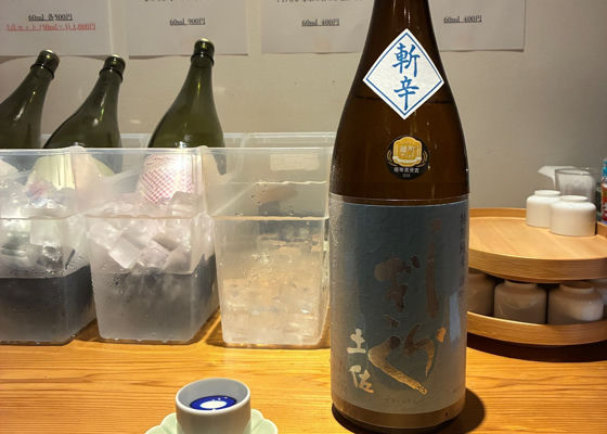 土佐しらぎく チェックイン 1