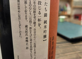 alt 3