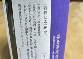 alt 3