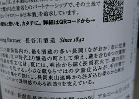 alt 3