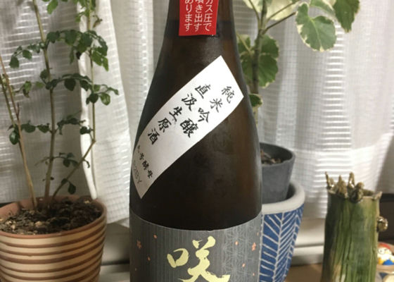 咲耶美