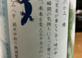 alt 3