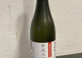 alt 1