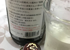 alt 3