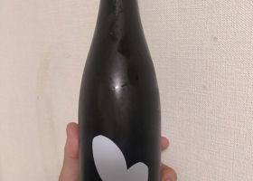 alt 2