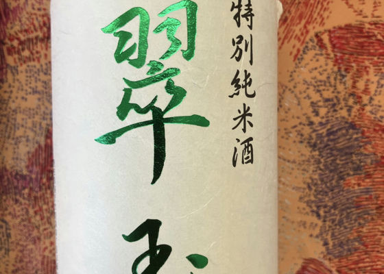 alt 1