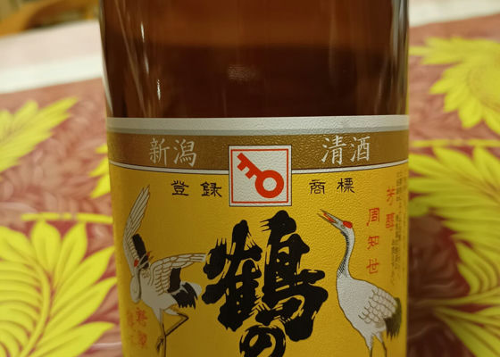 alt 1