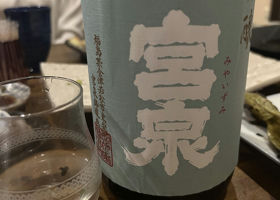 alt 1