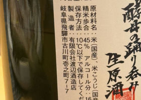 alt 3