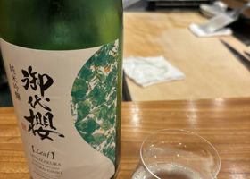 alt 1