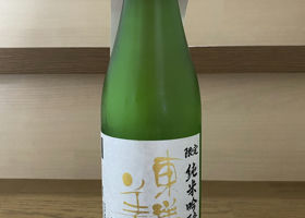 alt 1