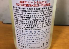 alt 3