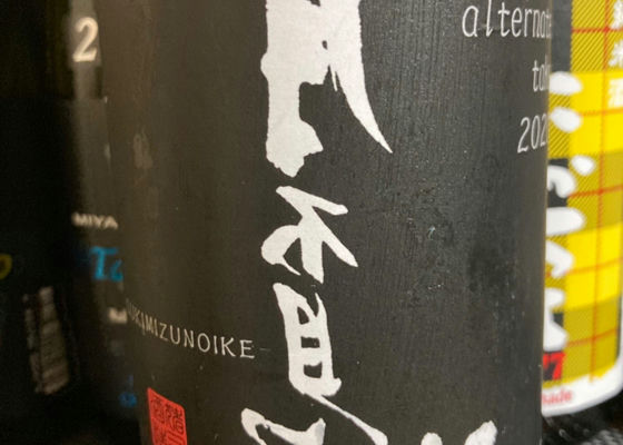 alt 1
