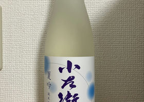alt 1