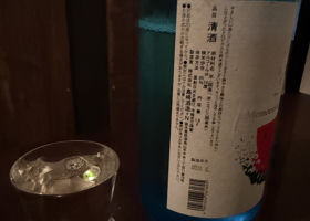 alt 3