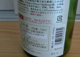 alt 3