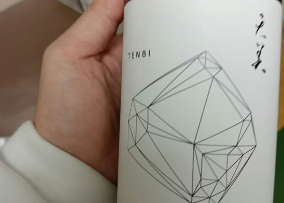 alt 1