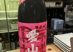 alt 1