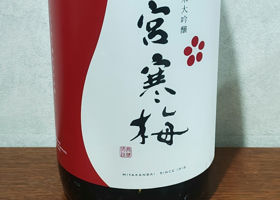 alt 1