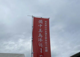 alt 3