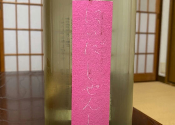 alt 1