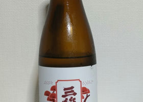 alt 3