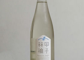 alt 1