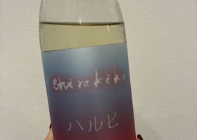alt 1