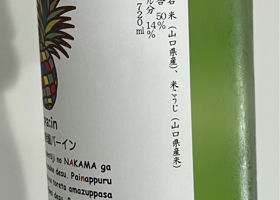 alt 3