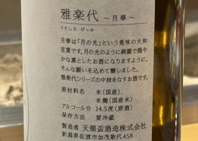 alt 3