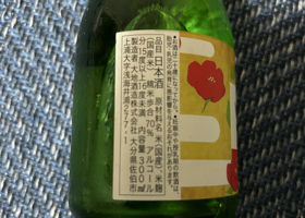 alt 3