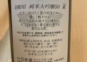 alt 3