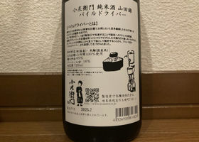 alt 3