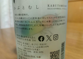 alt 3