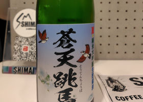 蒼天跳馬 チェックイン 1