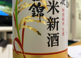 alt 1