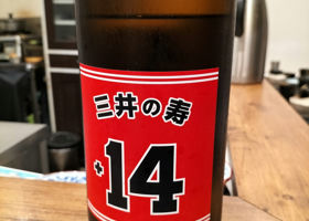 alt 1