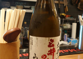 alt 1