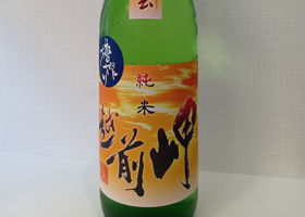 越前岬 チェックイン 1